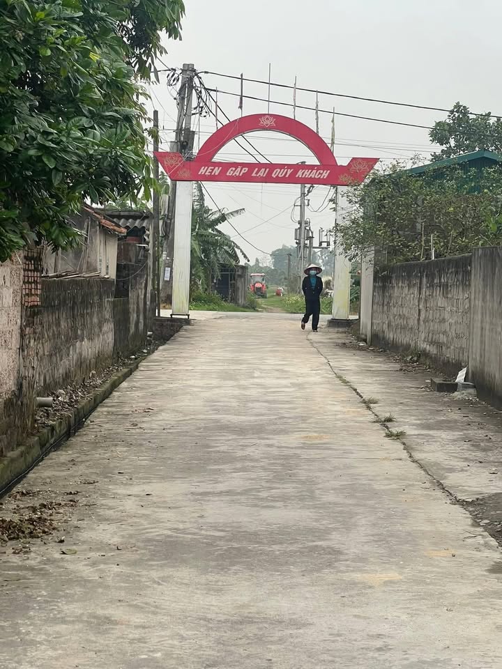 Bán Đất Bình Giang, Hải Dương 25m² - Lô Vuông Vắn, Sổ Đỏ Sẵn Sàng