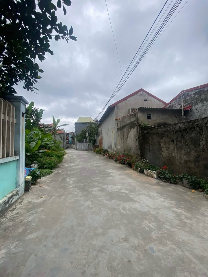 Bán Đất Tiểu Trà, Kiến An 51.6m² - Sổ Đỏ Rõ Ràng, Giá Đầu Tư 1.8 Tỷ