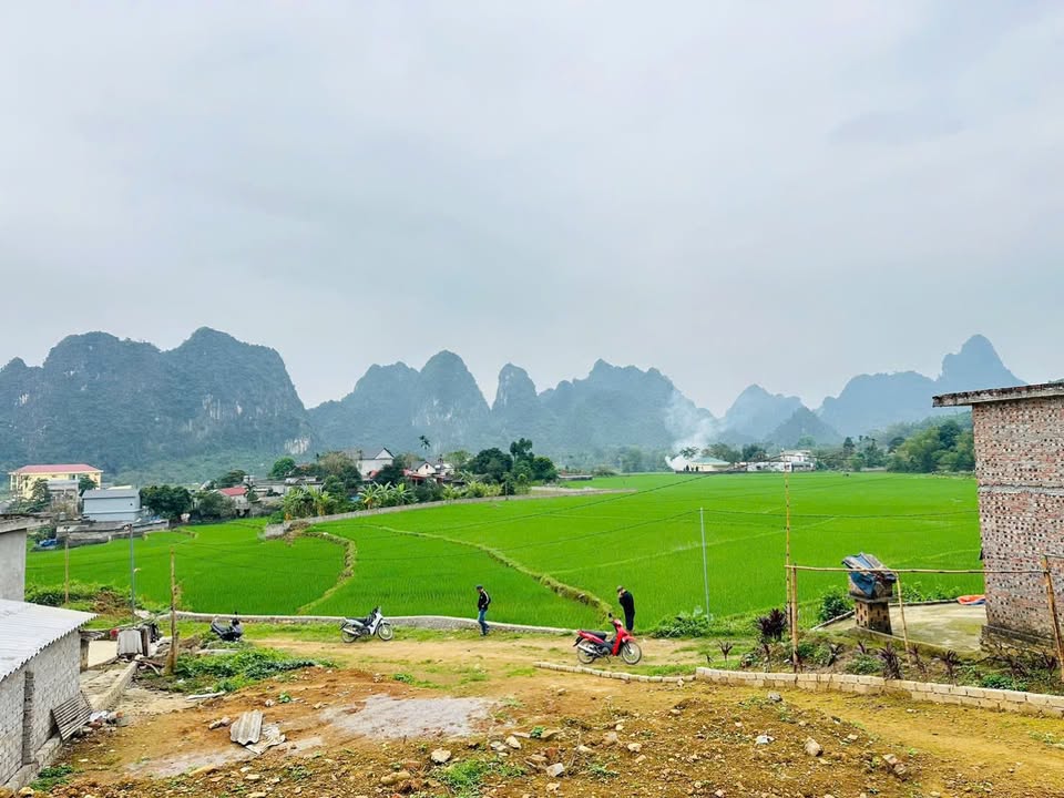 Đất nền Cao Dương, Hòa Bình 436m² - Sổ đỏ chính chủ!