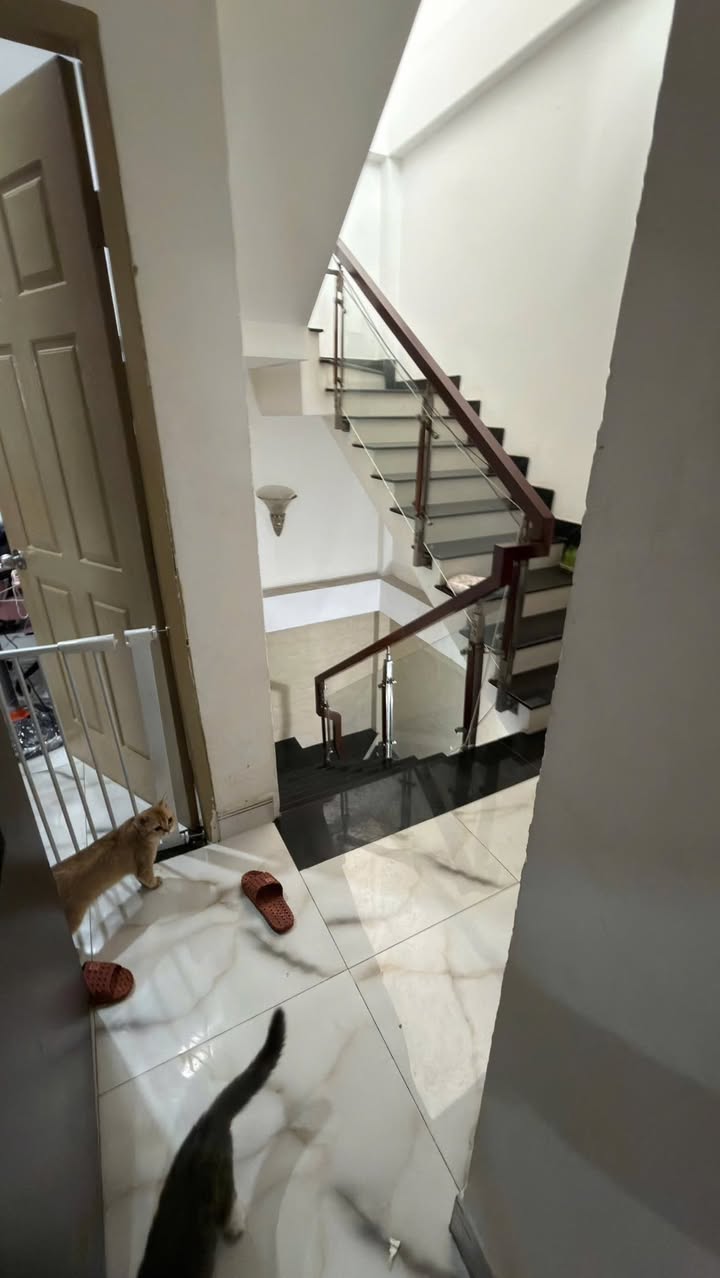 Nhà mặt tiền Nguyễn Hồng Đào Tân Bình 32m² 17 triệu - Mặt tiền kinh doanh!