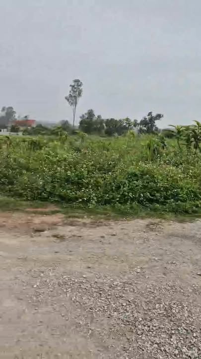 Đất nền Xóm 5 Văn Thành 281m² giá 1 tỷ - Sổ đỏ chính chủ