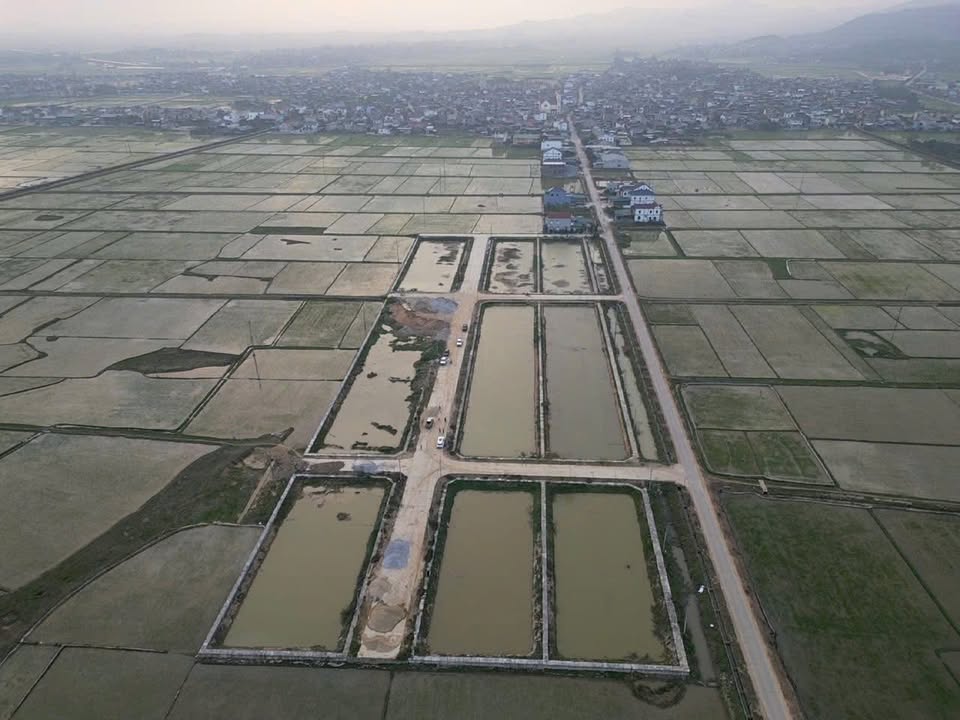 Đất nền Yên Thành 232m² - Sổ đỏ chính chủ, đầu tư sinh lời