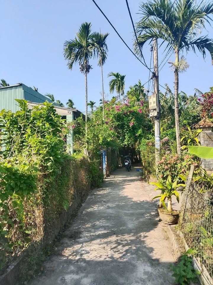 Đất Thăng Bình - Hà Lam 90m² (ONT 75m²) - Sổ hồng sẵn, dân cư đông đúc