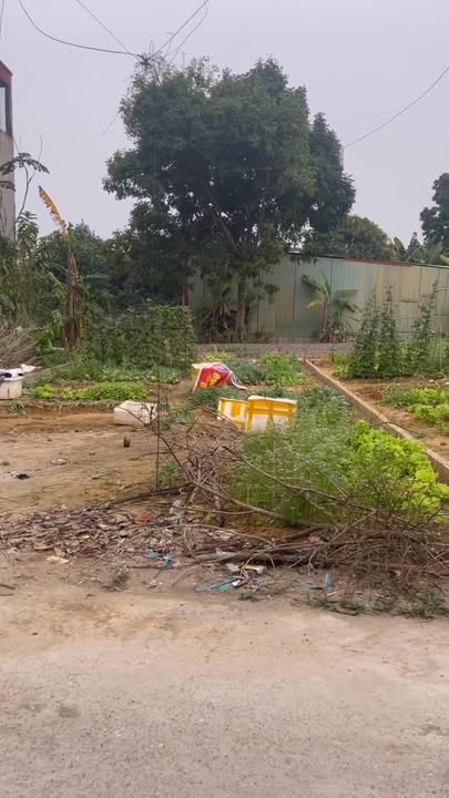 Đất nền 103.9m² mặt tiền 6.6m - Gần Bệnh viện Sơn Uyên, Hiệp Hòa