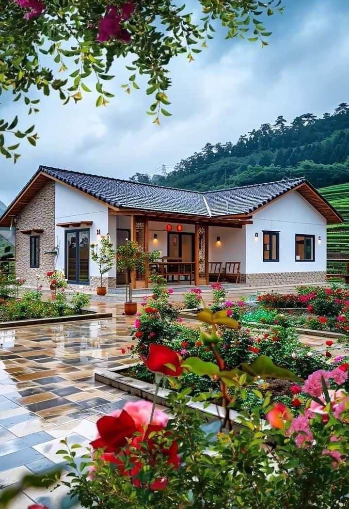 Đất Mặt Tiền KD Đường Cao Sơn Tự, Gò Dầu, Tây Ninh - 531m² Giá 1.45 Tỷ