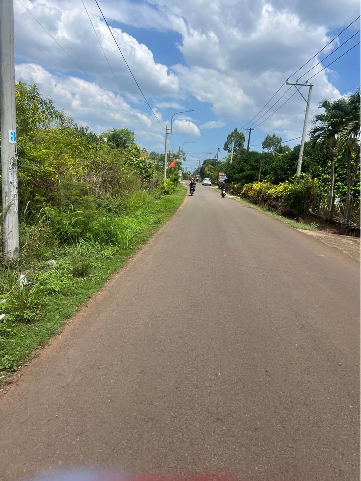 Đất nền Bình Lộc Long Khánh 360m² - Sổ đỏ chính chủ, vườn măng cụt