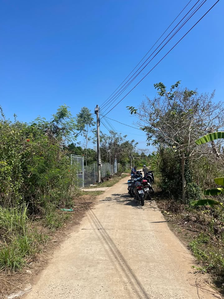 Đất Vườn Phú Tân Đồng Nai 1126m² Sổ Hồng Sẵn Sàng