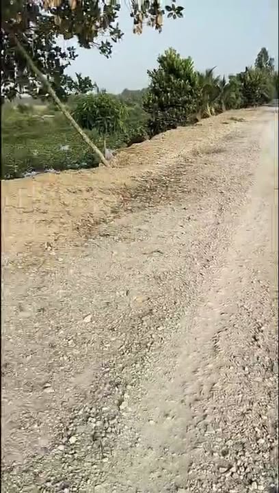 Bán 30 Công Đất Vườn Mặt Tiền Lộ Nhựa Mỹ Hòa, Tháp Mười - 200tr/Công