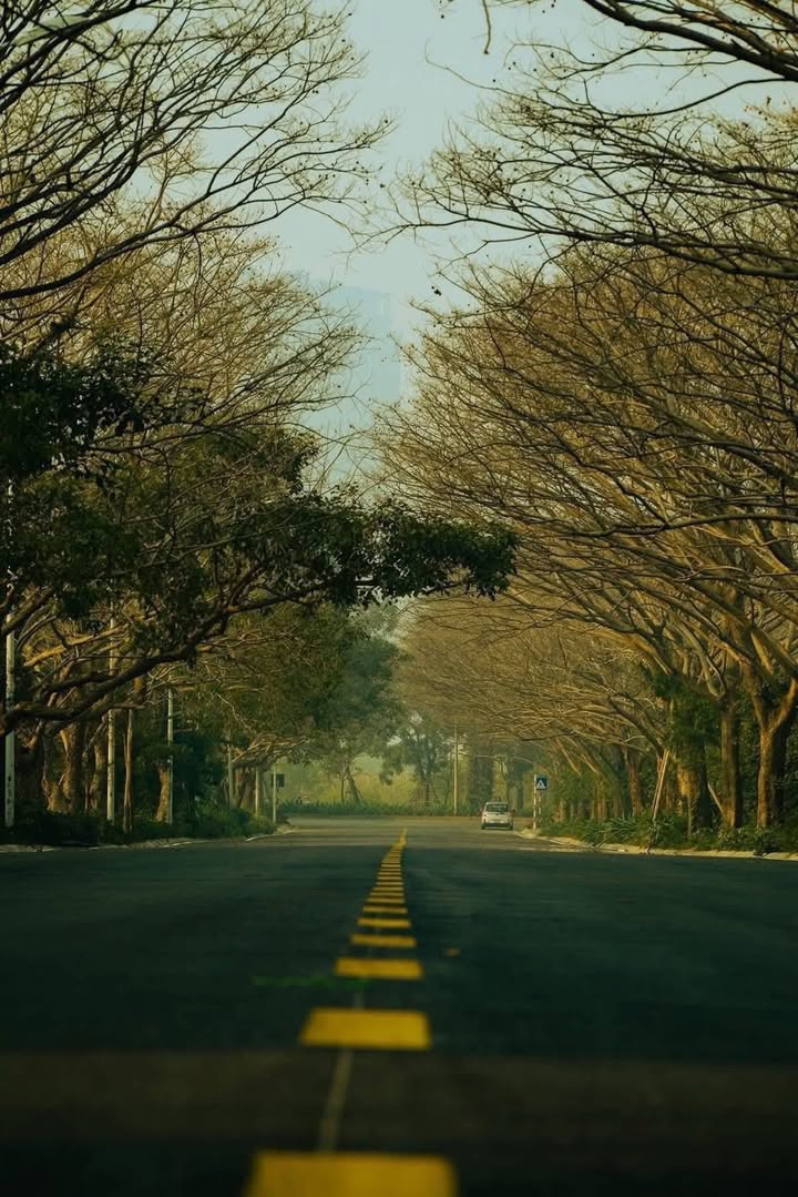 Bán Căn Hộ Sky 46m² Full Nội Thất, Giá 2.7 Tỷ Hưng Yên