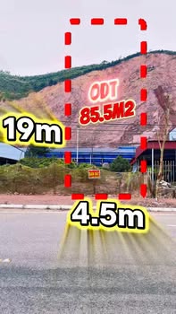 Đất Mặt QL31 Lục Nam 85.5m² - Sẵn Sổ Đỏ, Giá 1.7 Tỷ