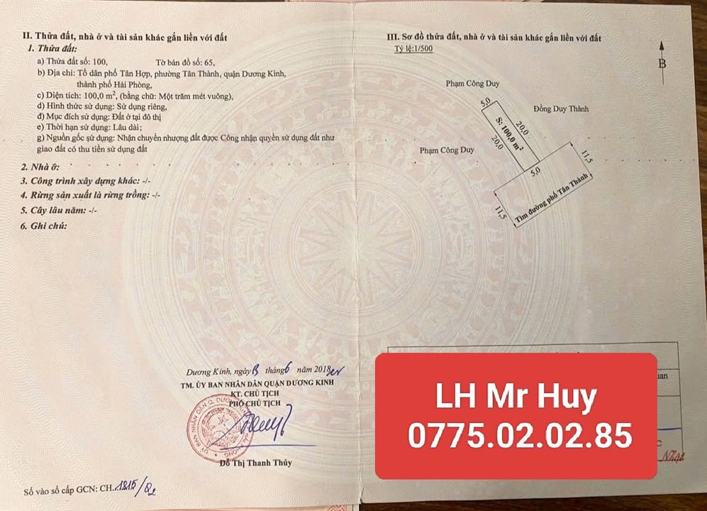 Đất nền Tân Dân An Lão 100m² - Đường to ô tô, kinh doanh sầm uất!