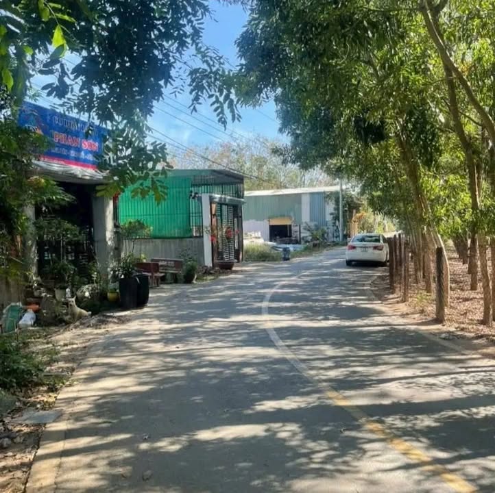 Đất nền Hòa Lợi Bến Cát 205m² - Xây dựng tự do, giá F0 chỉ 1.4 tỷ!