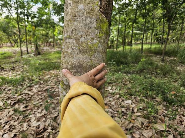 Đất vườn Bình Thắng 140m² 1,55 tỷ - Sổ hồng rõ ràng