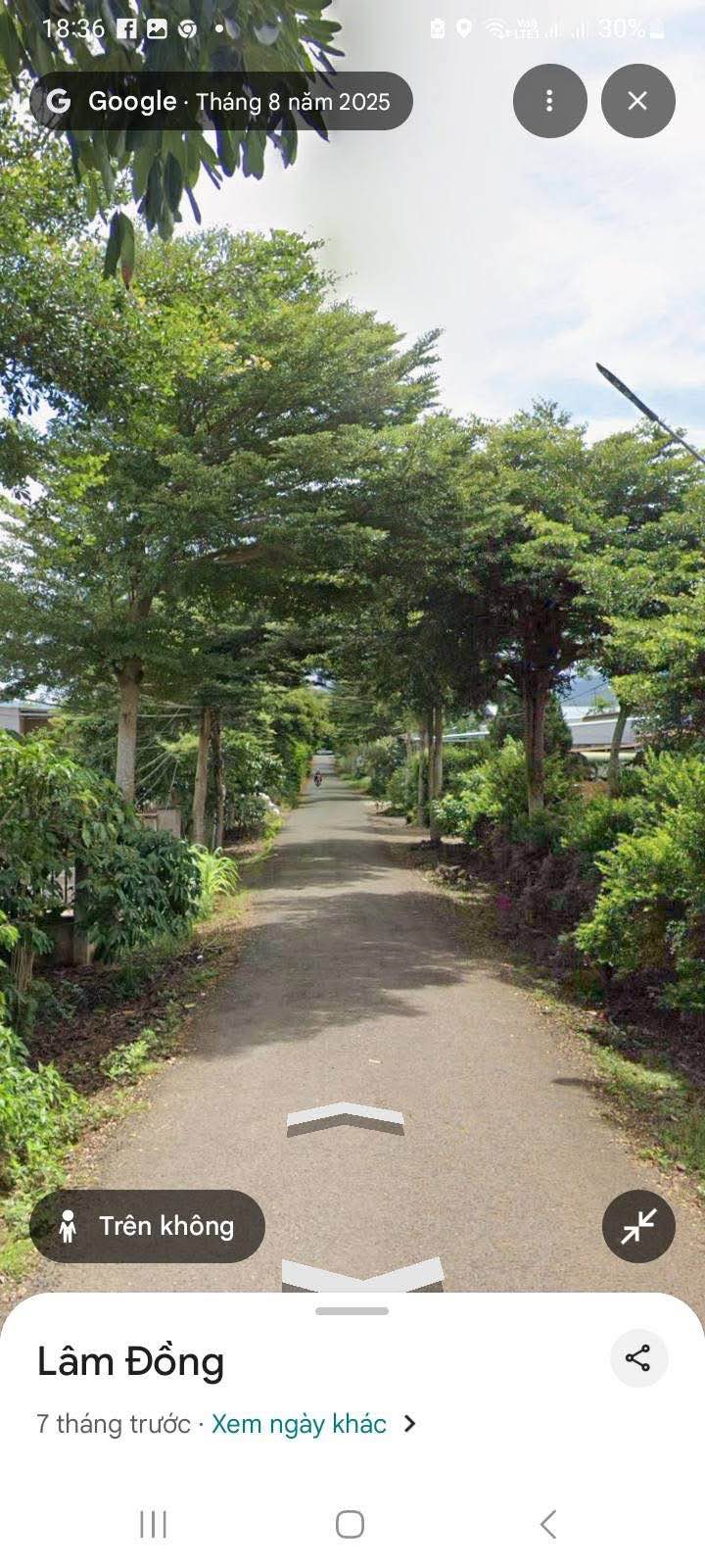 Đất Mặt Tiền Đường Nhựa Đà Lạt - 293m² - 1.45 Tỷ