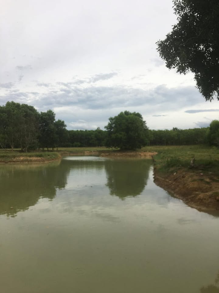 Đất vườn Nhân Trạch, Bố Trạch 27260m² - Nghỉ dưỡng lý tưởng view hồ!