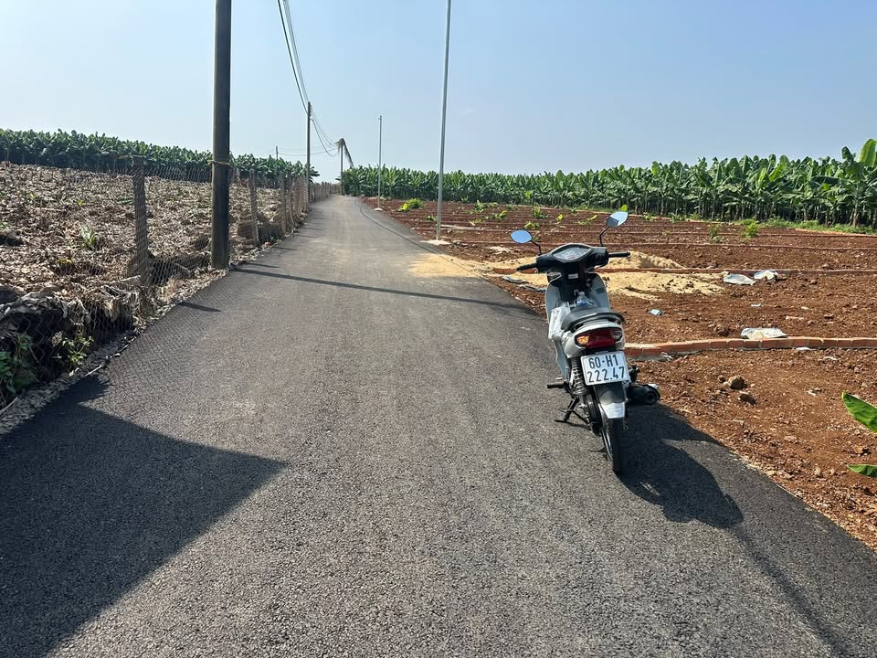 Đất Nền Bàu Hàm 115m² - Sổ Hồng Sẵn Sàng