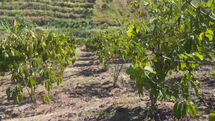 Đất nền Đạ Long, Đam Rông 2.7ha giá 1.95 tỷ - Tiềm năng tăng giá vượt trội!