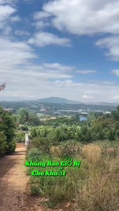 Đất Nền Thị trấn Nam Ban 500m² - Tiềm năng tăng giá vượt trội!