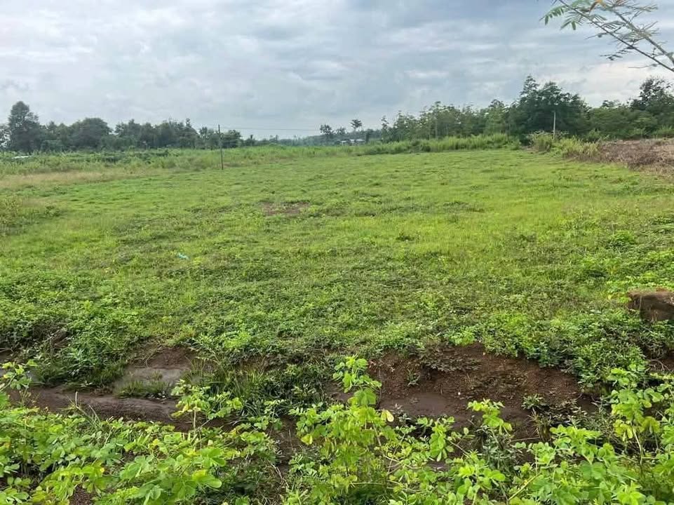 Đất nền Thôn 8 BMT 500m² chỉ 395 triệu - Tiềm năng tăng giá!