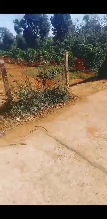 Bán đất Ia Phang Chư Pưh 1950m² - Sổ đỏ thổ cư 200m² Giá 1.4 tỷ