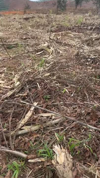 Đất nền Tam Giang Krông Năng 2,7ha 0,9 tỷ - Pháp lý rõ ràng