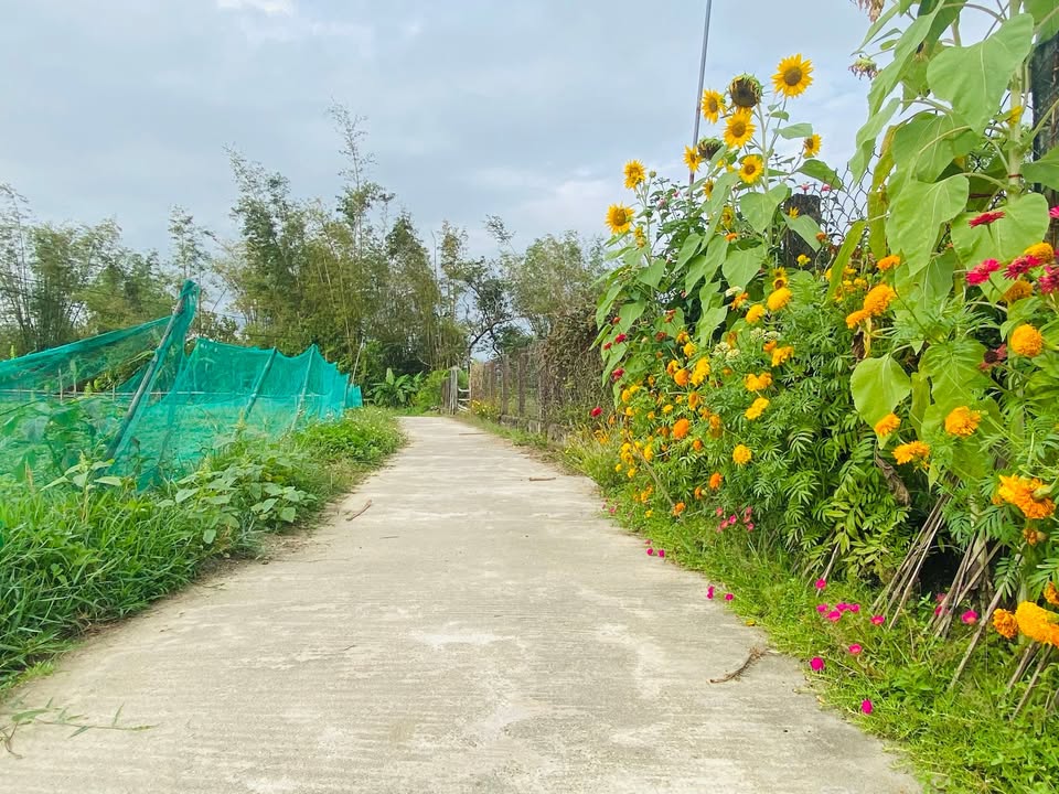 Đất nền Hoà Hội, Phù Cát 122m² - Sổ đỏ chính chủ, lô góc siêu đẹp!