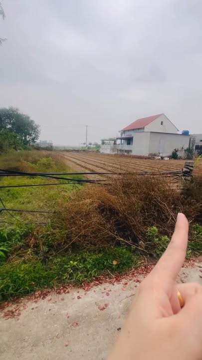 Đất nền 125m² Hướng Đông - Sổ đỏ chính chủ, giá chỉ 500 triệu tại Nga Trung