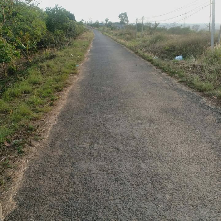 Đất Đắk Lắk: Mặt Tiền Đường Nhựa Krông Năng, 810m² Thổ Cư, Giá 460 Triệu