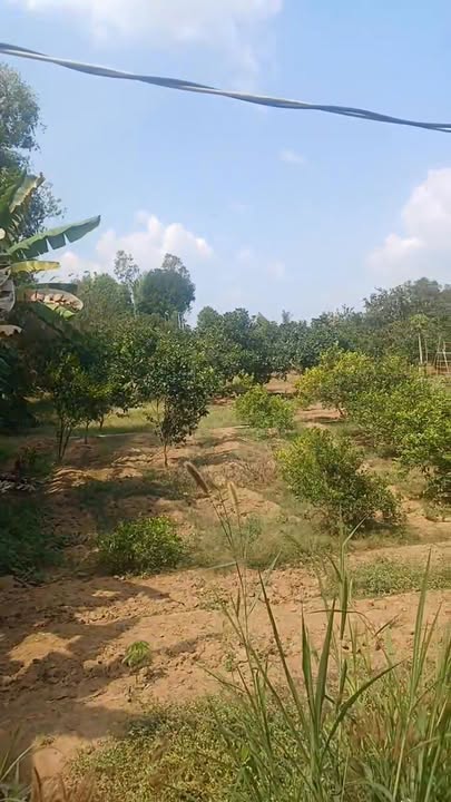 Đất nền Suối Rao Châu Đức 1116m² giá 2.5 tỷ - Đất thổ cư sẵn