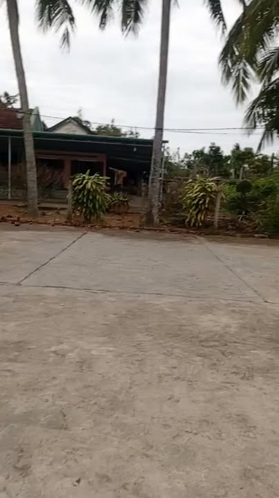 Đất nền Thị trấn Ea Kar 462m² - Đất thổ cư 100%, sổ đỏ sẵn sàng!