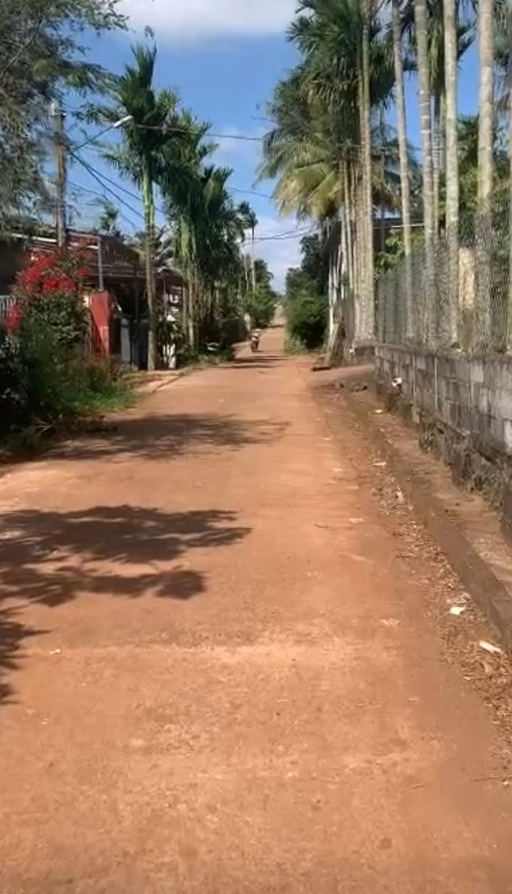 Đất nền Cư Bao, Ea Kar 492m² giá 450 triệu - Sổ đỏ chính chủ