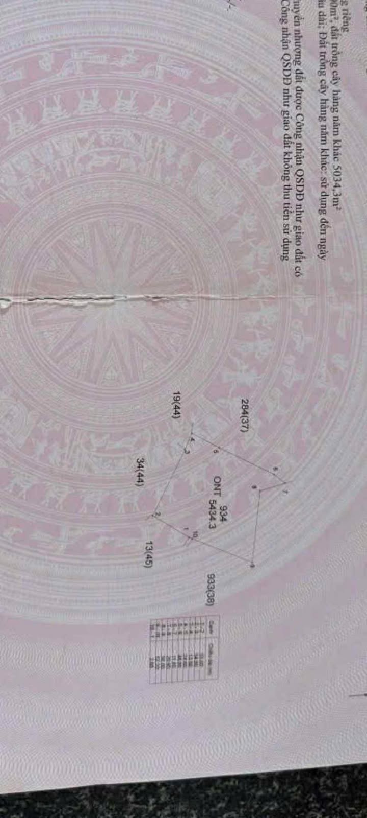 Farm Ea Drông 1944m² giá 1.404 tỷ - Đầu tư dài hạn