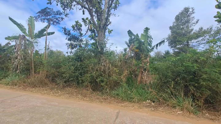 Đất Nền Ea Kar 1000m² - Sổ Hồng Chính Chủ - Giá 1 Tỷ