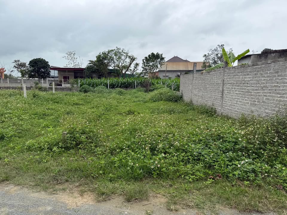 Bán đất Nghi Phong 106m² giá 2 tỷ - Sổ đỏ sẵn, đường thông ô bàn cờ