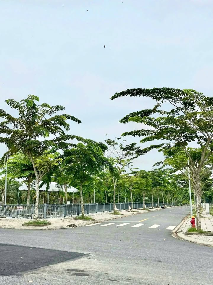 Bán Nền 80m² Trung Tâm Ngã Bảy Cần Thơ - Sổ Hồng Sẵn Sàng