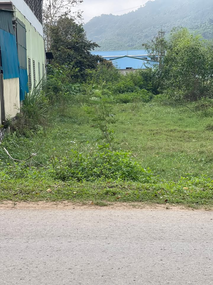 Đất nền Nghĩa Đàn 208m² mặt tiền QL 27m - Sổ đỏ sẵn sàng giao dịch