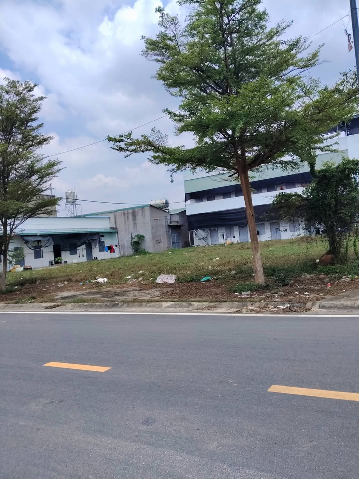 Đất Nền 114m² Sổ Hồng Thổ Cư - Khu Vị Síp 2, Tân Uyên, Bình Dương