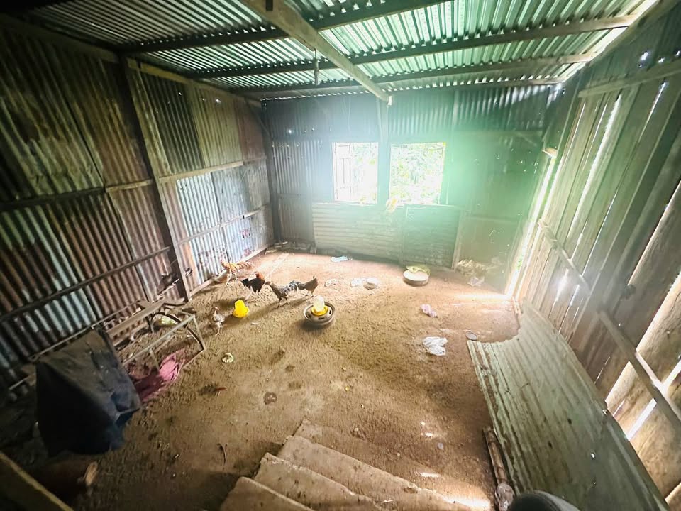 Nhà Mặt Tiền Võ Nguyên Giáp, Kon Tum - Kinh Doanh Sầm Uất, Vuông Vắn 10x50m