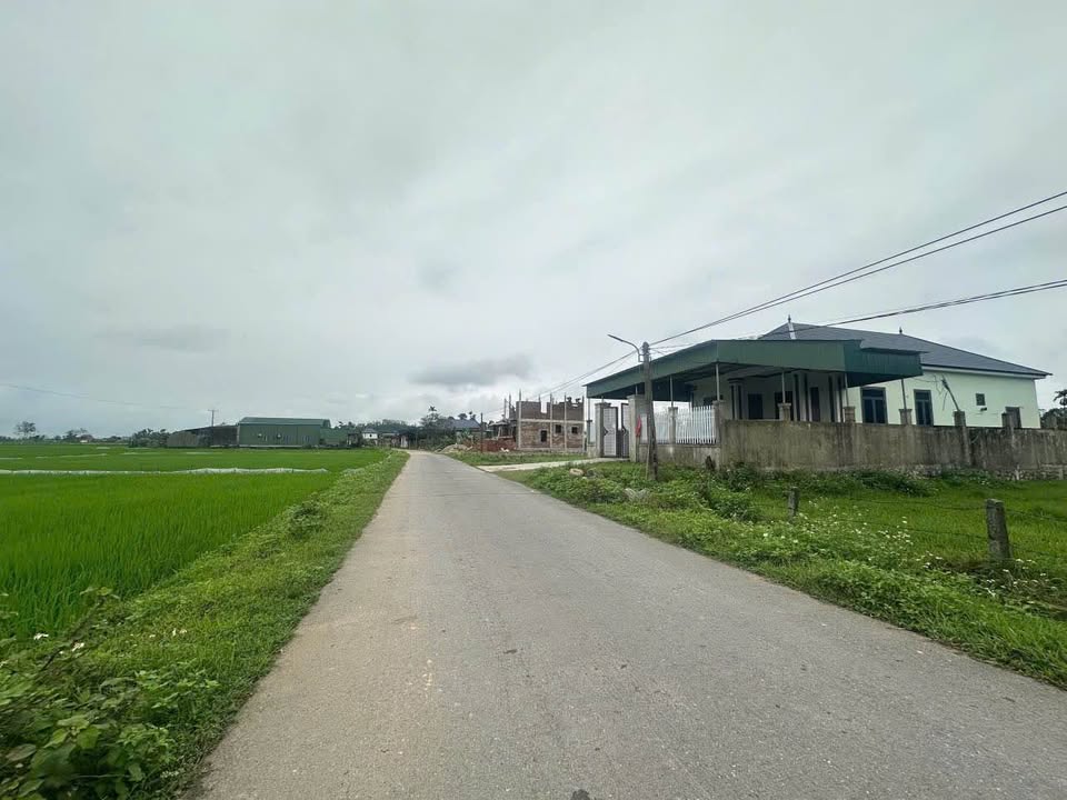 Đất nền Xã Việt Tiến, Nghi Xuân 253m² - Tiềm năng tăng giá vượt trội!