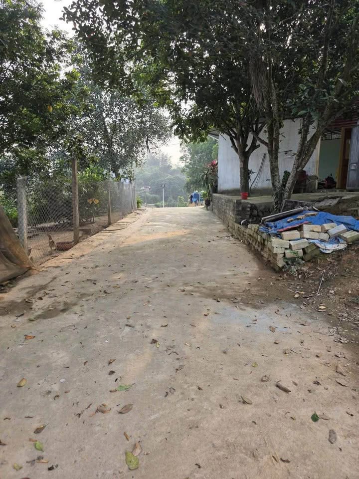 Đất nền Nông Tiến, Tuyên Quang 78m² - Đất thổ cư, ô tô vào thoải mái!