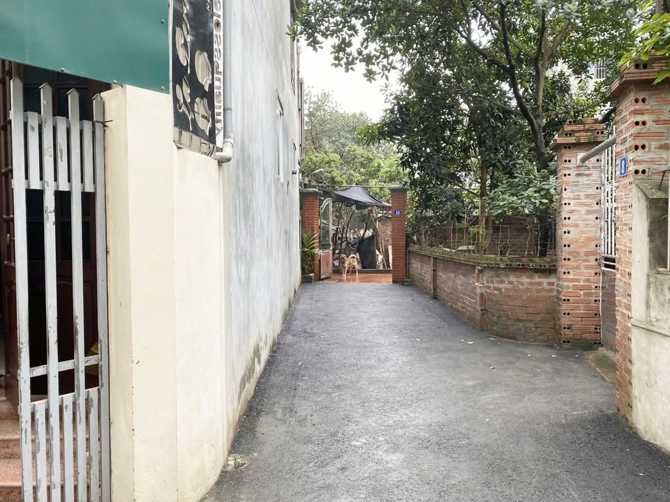 Bán Nhà Đan Phượng 50m², 3 Tầng Full Nội Thất - Sẵn Sàng Ở Ngay!