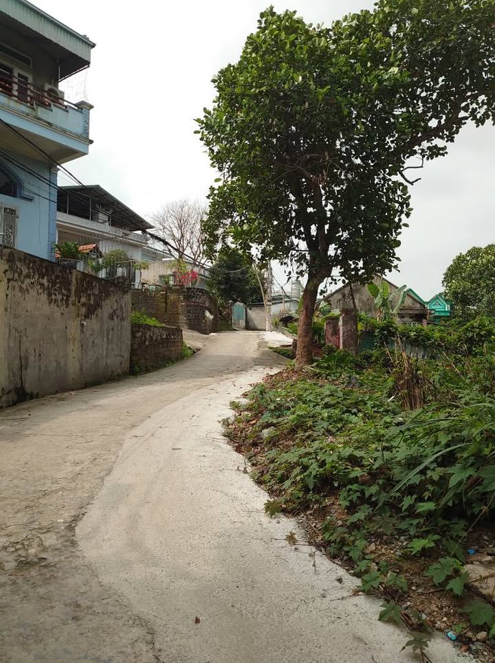 Đất nền Hà Lầm Hạ Long 50m² - Đường ô tô vào tận nơi!