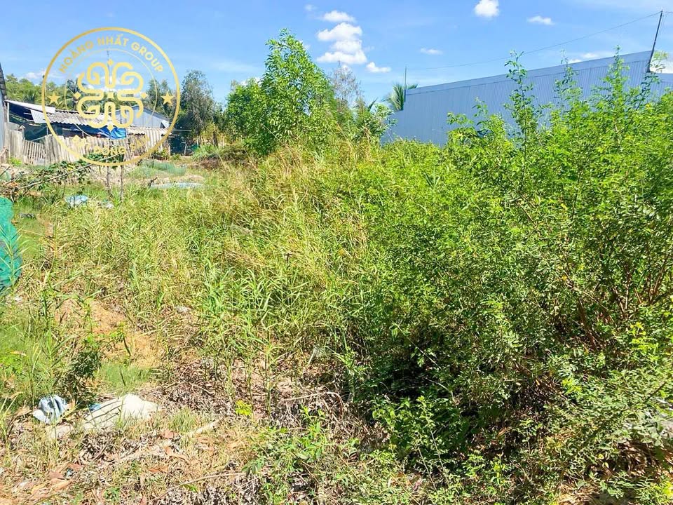 Đất nền Đầm Dơi Cà Mau 4.5 tỷ - Sổ đỏ chính chủ, mặt tiền kinh doanh!