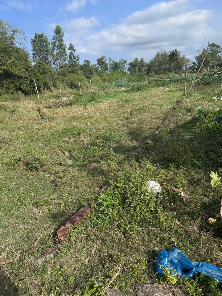 Đất nền Hòa Phước 141.2m² - Mặt tiền kiệt rộng, giá đầu tư 1.05 tỷ