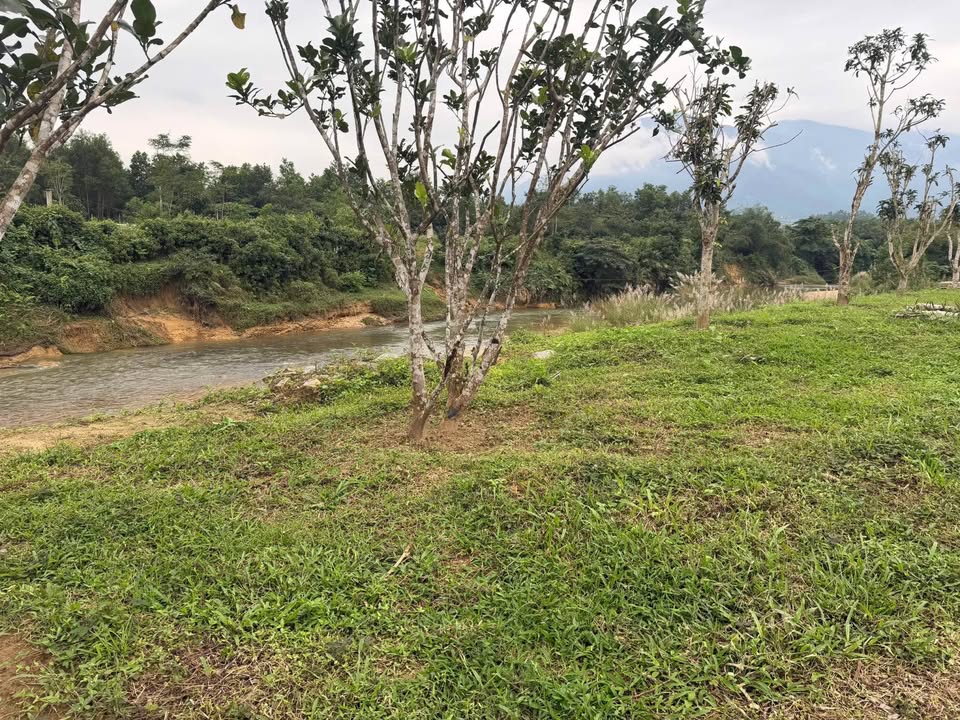 Đất nền Hòa Ninh, Hòa Vang 4000m² giá 4.2 tỷ, sổ đỏ chính chủ