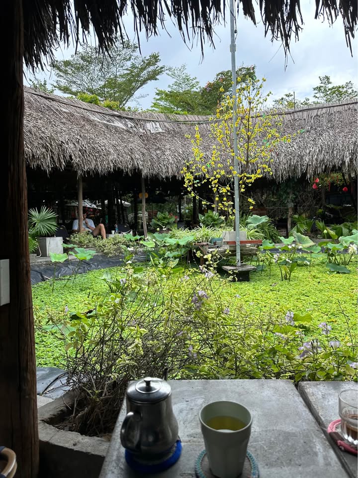 Đất nền Lê Hữu Trác Đà Nẵng 123m² 8.x tỷ - Sổ đỏ chính chủ