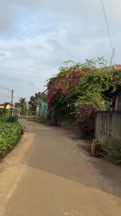 Đất thổ cư Sổ đỏ Mộ Đức 125m² - Gần trường Đức Minh