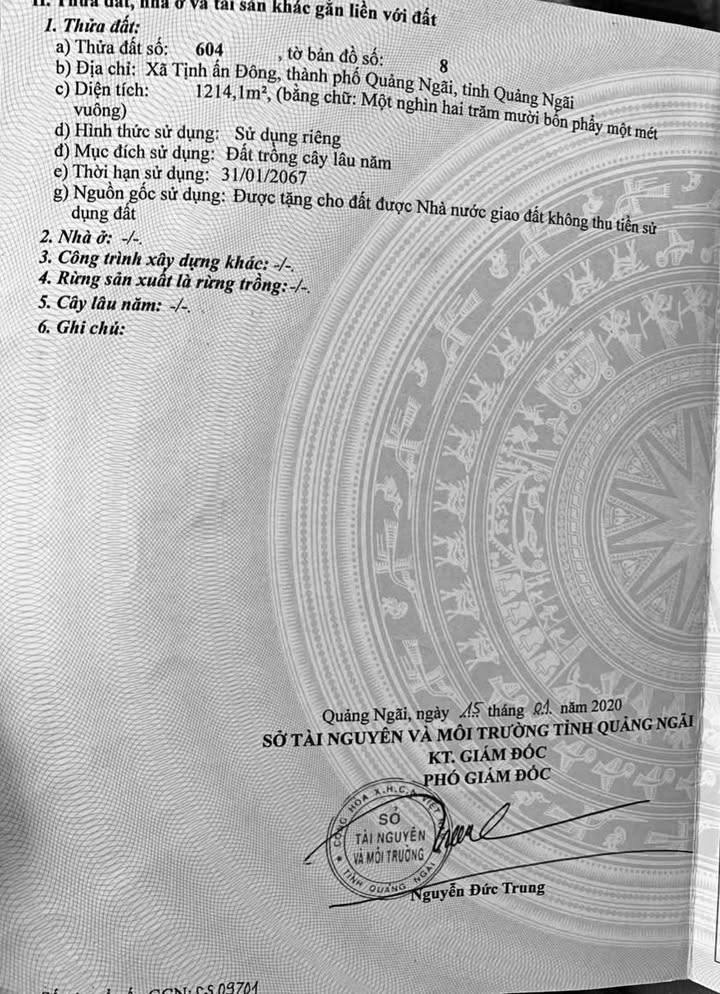 Bán Đất Nền Phường Trương Quang Trọng, Quảng Ngãi - 1212m² Giá 420 Triệu