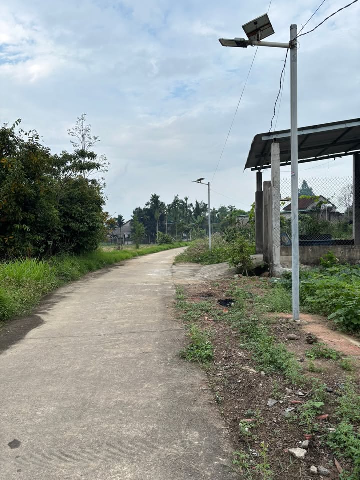 Đất Nền Nghĩa Thắng, Quảng Ngãi - 132m² Giá Hời Chỉ 300 Triệu