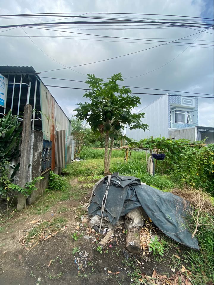 Đất nền Hoàng Hoa Thám, Tư Nghĩa 87m² - Tiềm năng tăng giá vượt trội!